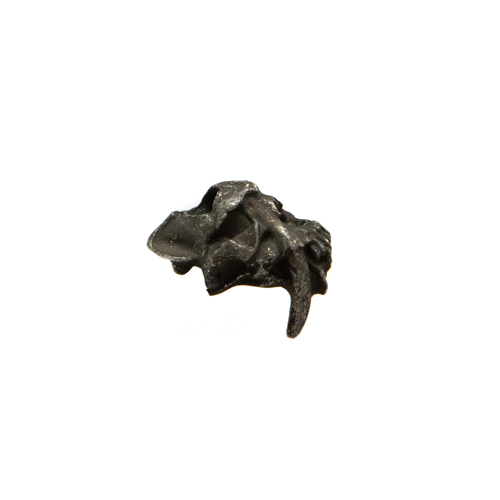 Sabretooth Skull Bead
