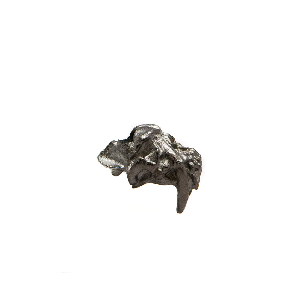 Sabretooth Skull Bead